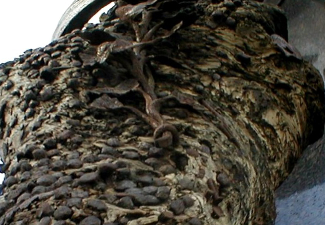 Старинные гвозди в древнем дереве в Вене