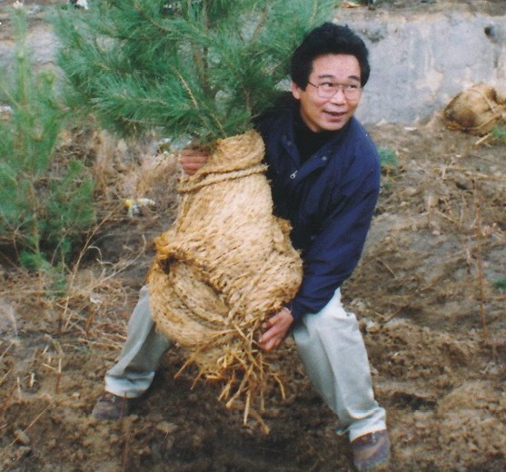 Как японец посадил 10 000 000 деревьев в Китае