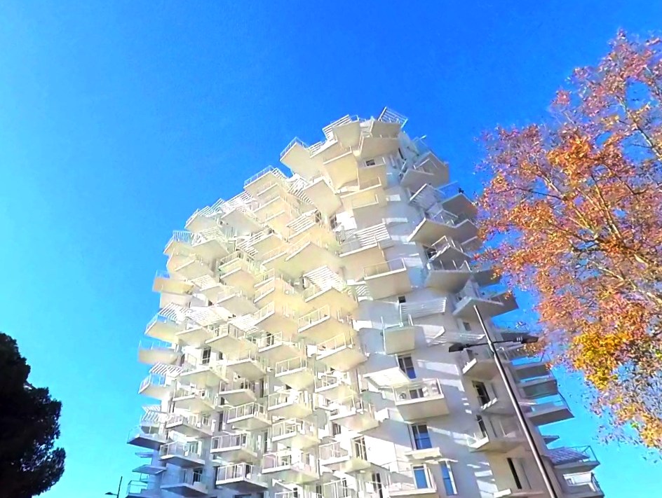 Дом, который выглядит, как огромное белое дерево