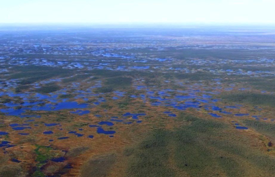 В Западной Сибири находится крупнейшая болотная система северного полушария планеты, которая продолжает расти