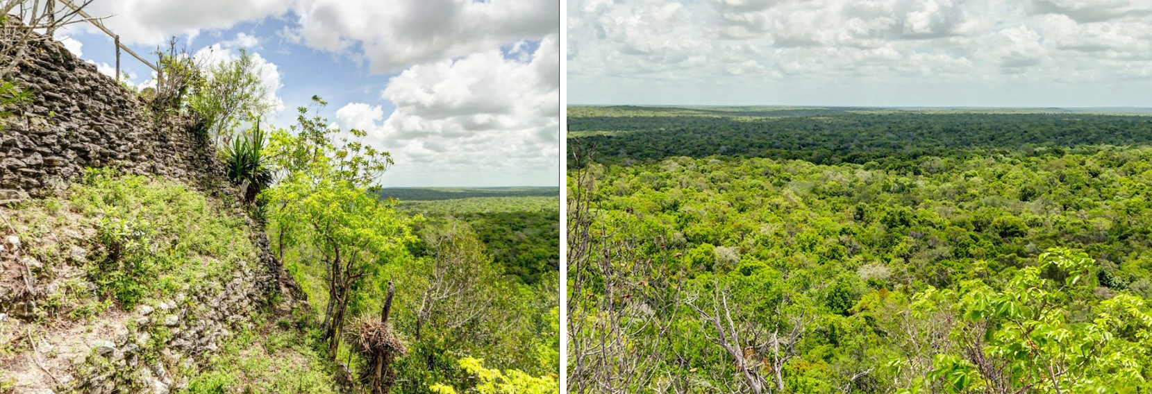Когда учёные сканировали лазером джунгли около древнего города майя Эль-Мирадор, то обнаружили тысячи новых руин и сеть дорог