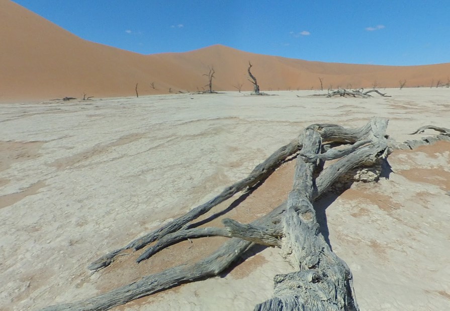 Старейшая пустыня Земли, покрытая высокими и длинными дюнами - Намиб