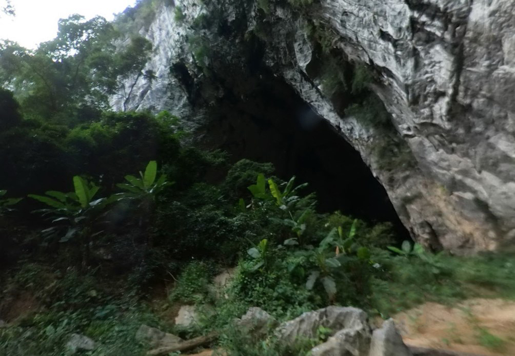 Подземный мир с лесом, животными и облаками, который обнаружили под землей - пещера Шондонг