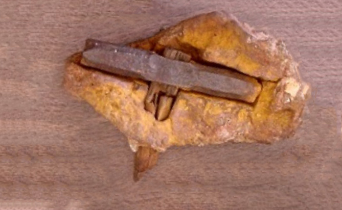 Молоток, обнаруженный в камне — спорный «допотопный» артефакт из «Музея свидетельств Сотворения мира»