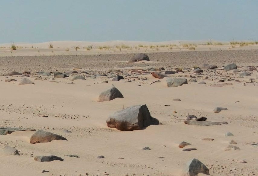 Самые северные подвижные дюны барханы посреди тайги возле озера Атабаска
