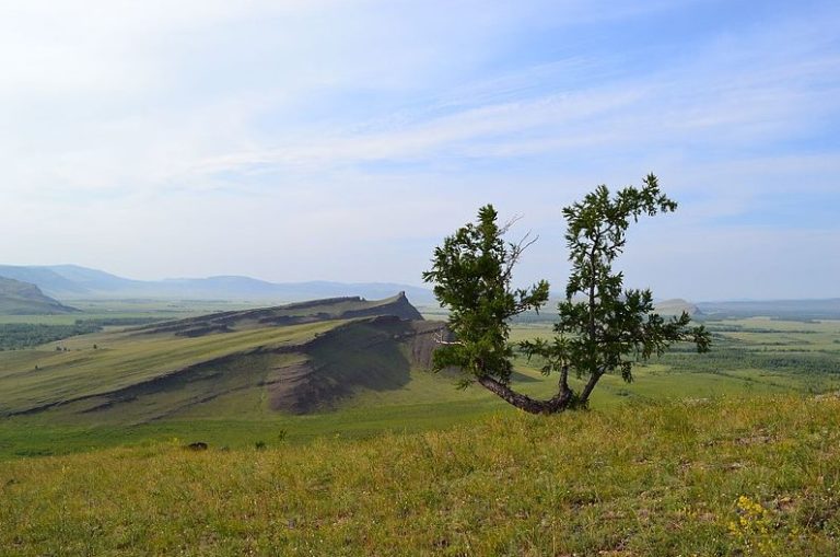 Сундуки хакасия фото