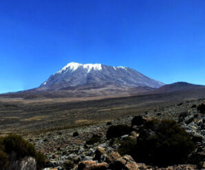Учёные предупреждают о возможном исчезновении ледников на стратовулкане Килиманджаро и о последствиях для экологии