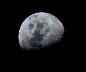 Учёные предполагают, что на Луне остались следы ранней земной жизни