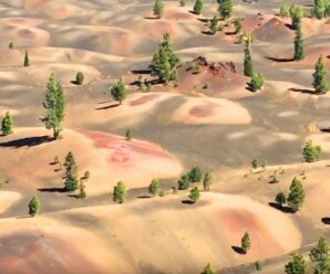 Изумительные разноцветные дюны у подножия Синдер-Коуна
