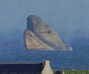 Словно голова гигантского морского чудища — расколовшийся супертанкер Amoco Cadiz
