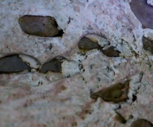Таинственные «человекоподобные» следы в Краснодарском крае на камне в каньоне Белые скалы